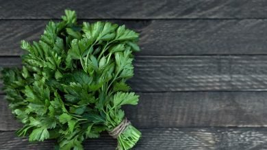 حساسية البقدونس