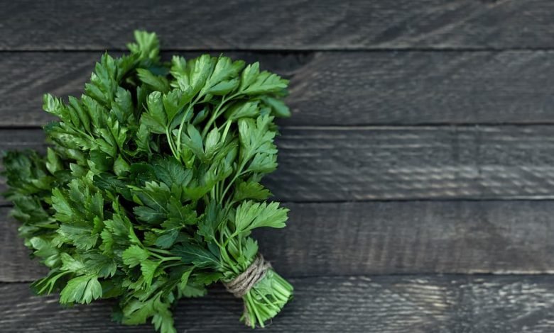 حساسية البقدونس