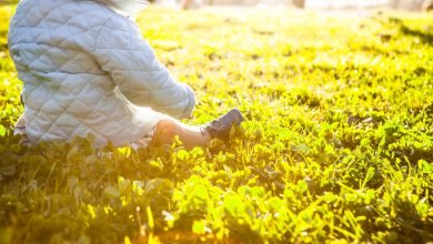 حساسية فيتامين د