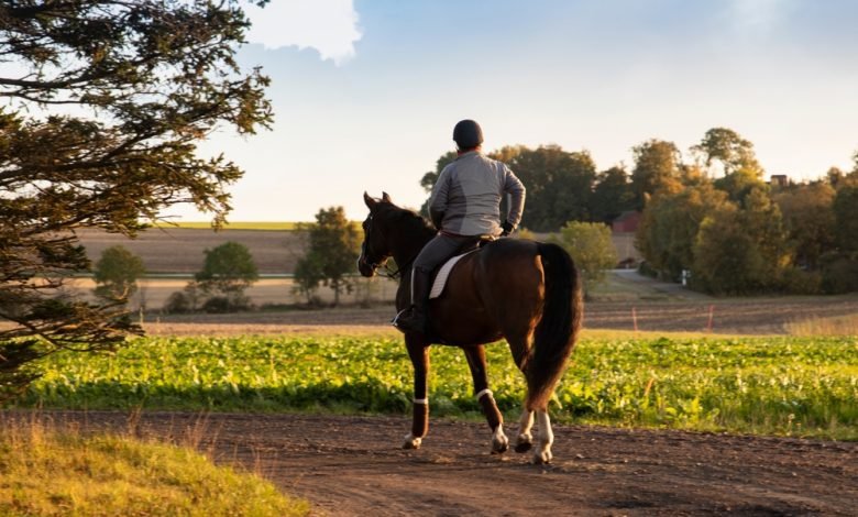 حساسية ركوب الخيل