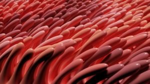 ما هو سبب مرض السيلياك والاضطرابات الأخرى المرتبطة بالجلوتين 2 سبب مرض السيلياك